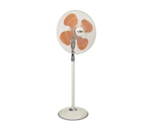 Stand Fan