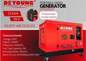 Deyoung 12KVA Silent Air Cooled Portable Diesel Generator