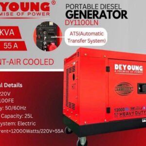 Deyoung 12KVA Silent Air Cooled Portable Diesel Generator