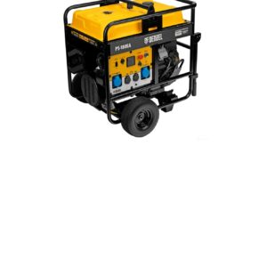 Denzel PS-180EA Single Phase Gasoline Generator with Automatic Start