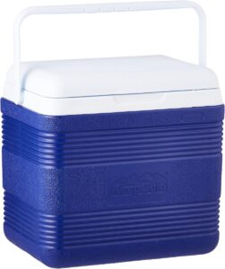 Cosmoplast Keep Cold Icebox Deluxe, 18 L