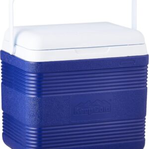 Cosmoplast Keep Cold Icebox Deluxe, 18 L
